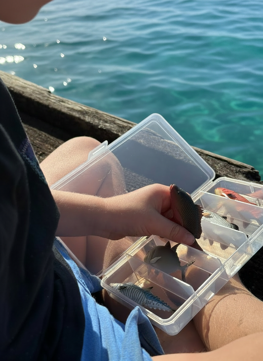 Mini Fish - Tropical Set