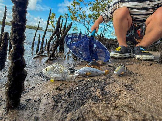 Mini fish - Coastal Set