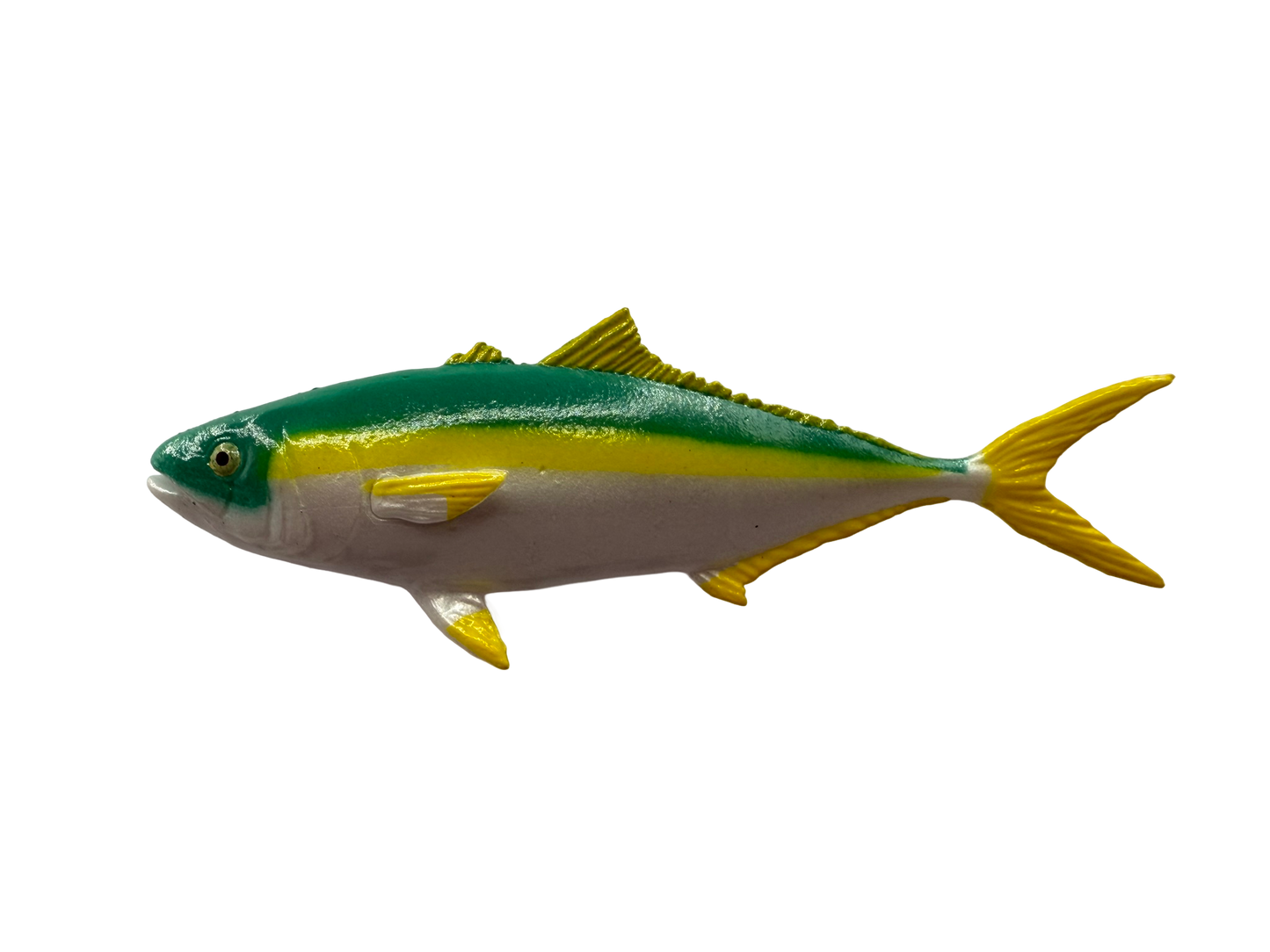 Mini fish - Coastal Set