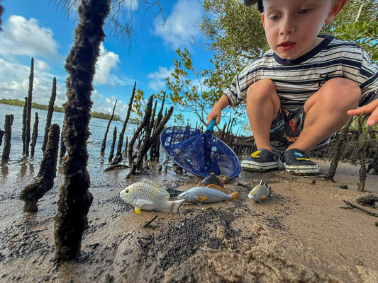 Mini fish  - Coastal Set