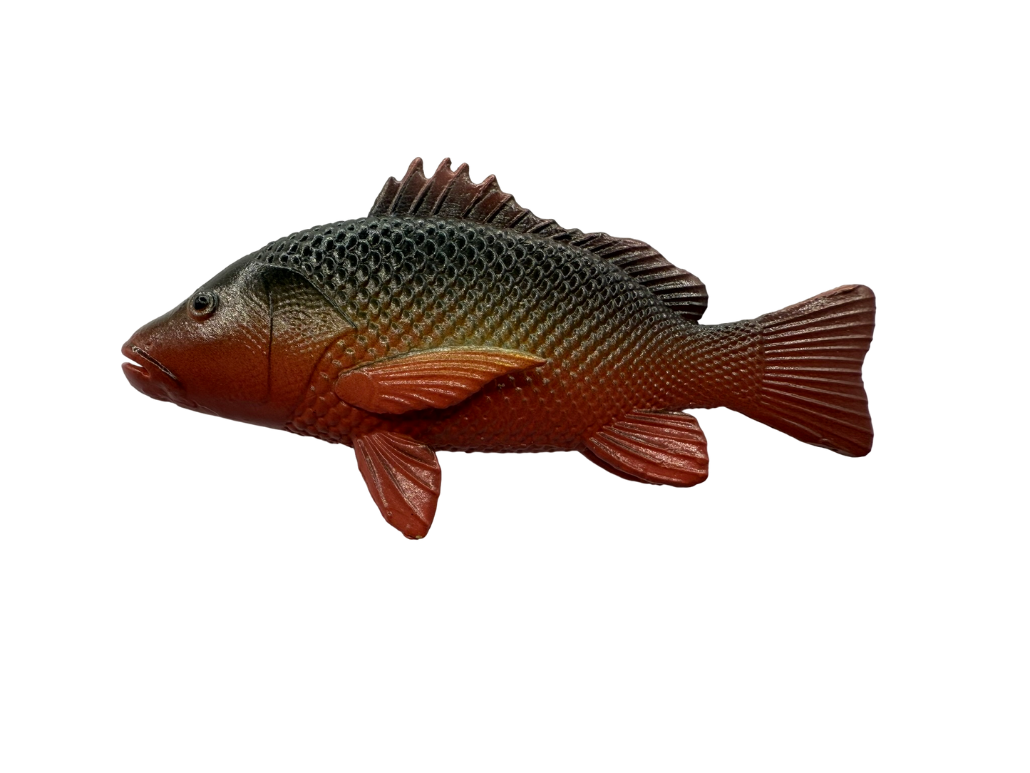 Mini Fish - Tropical Set