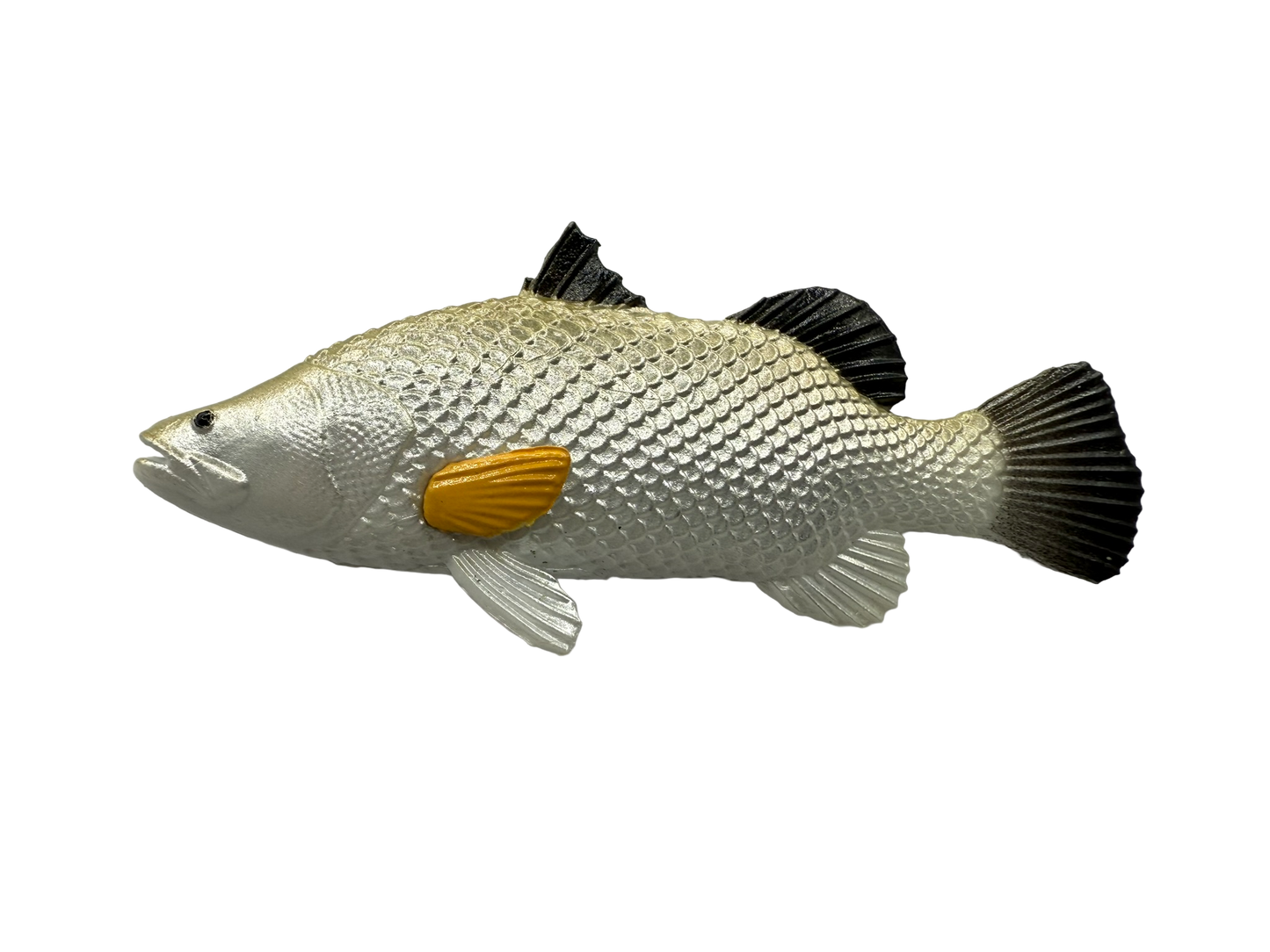 Mini Fish - Tropical Set