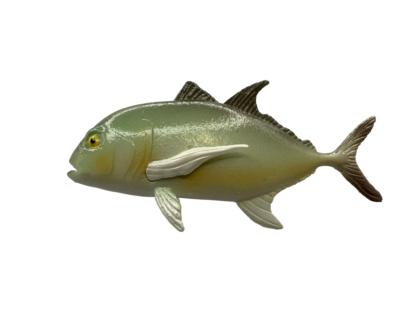 Mini Fish - Tropical Set