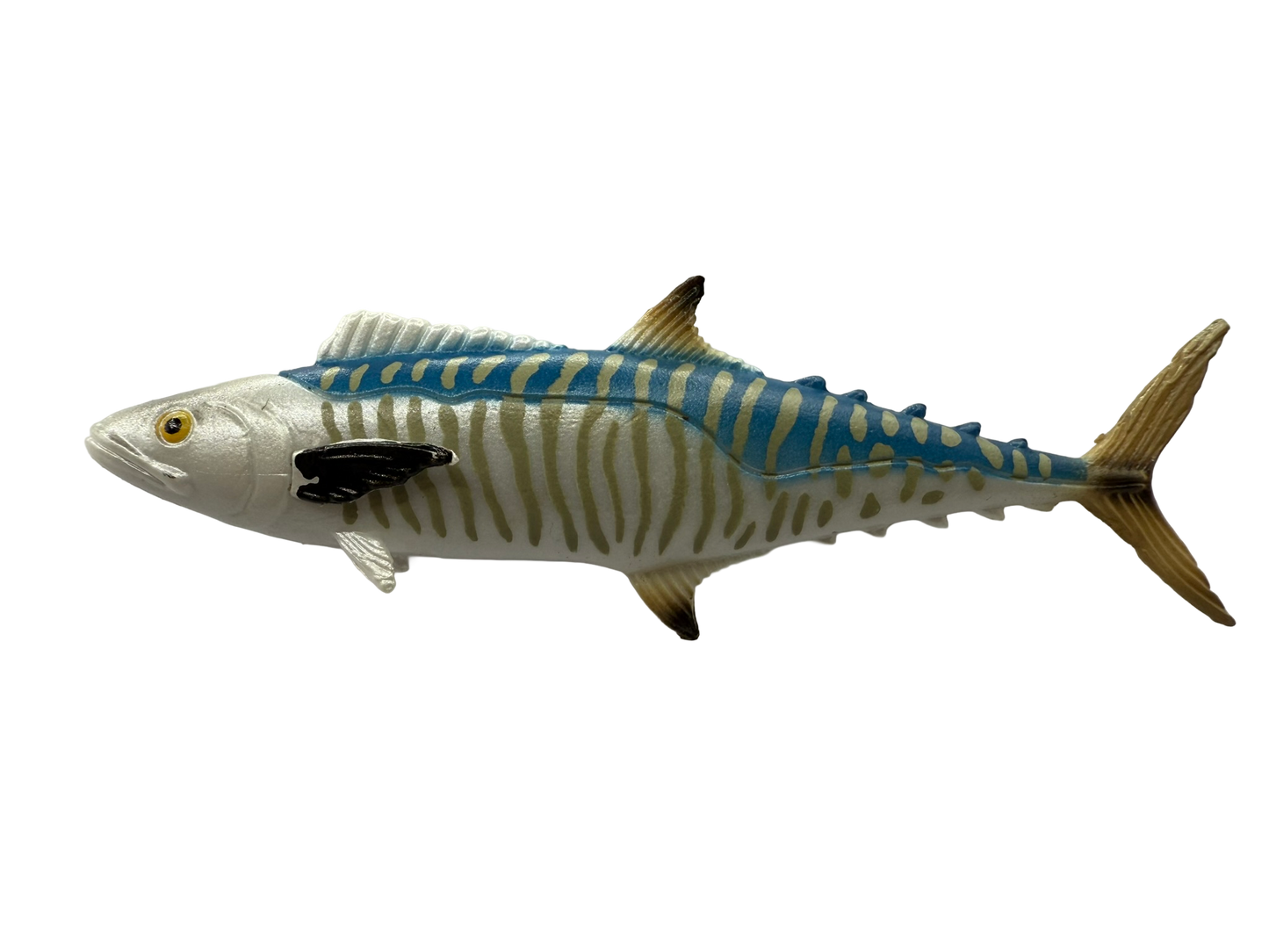 Mini Fish - Tropical Set