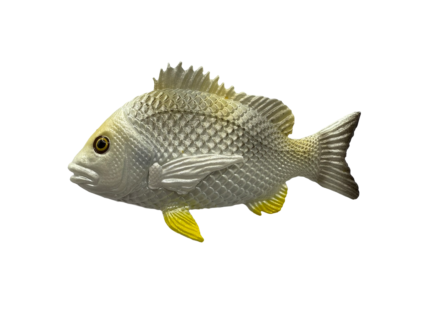 Mini fish  - Coastal Set