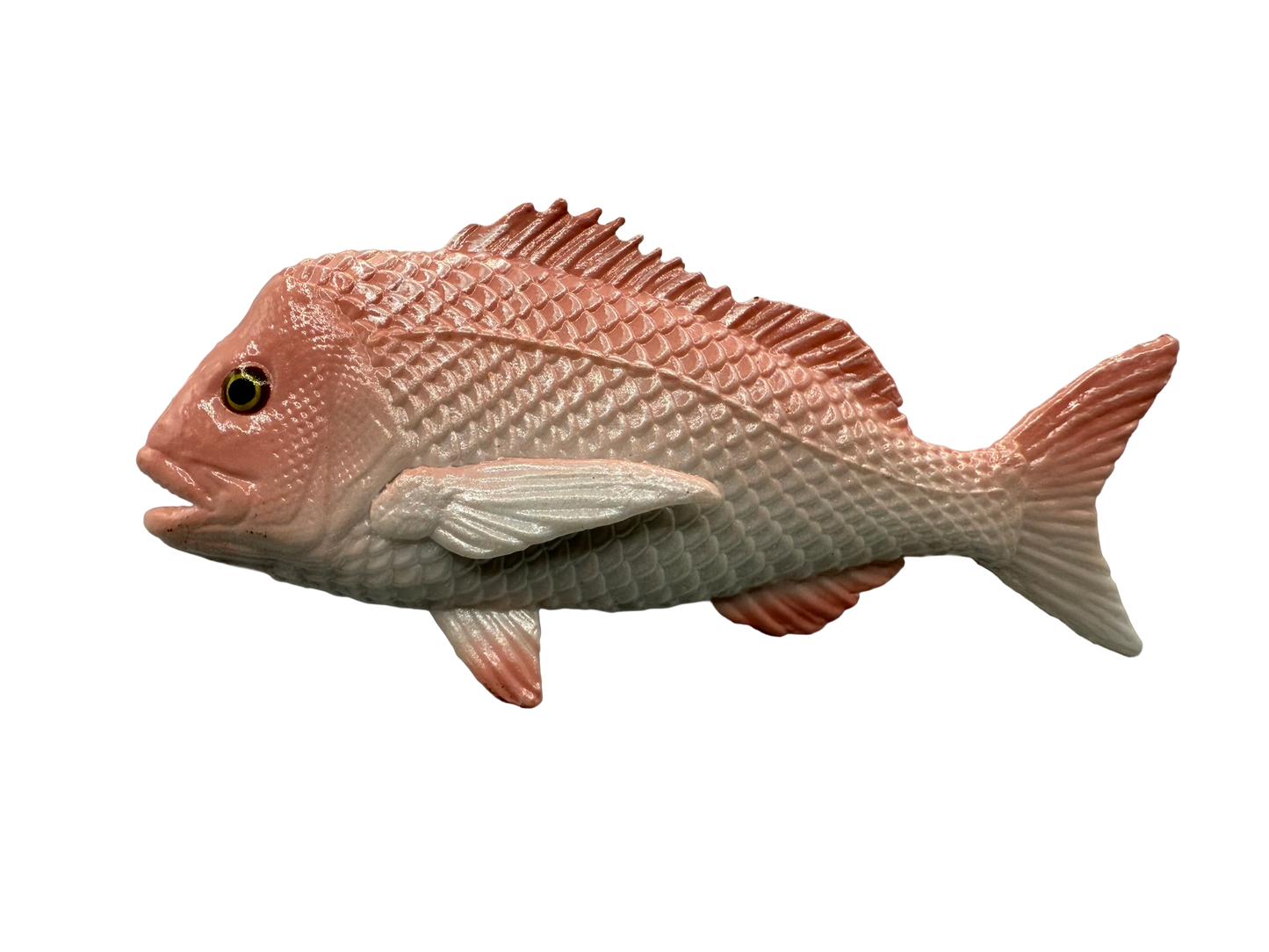 Mini fish  - Coastal Set