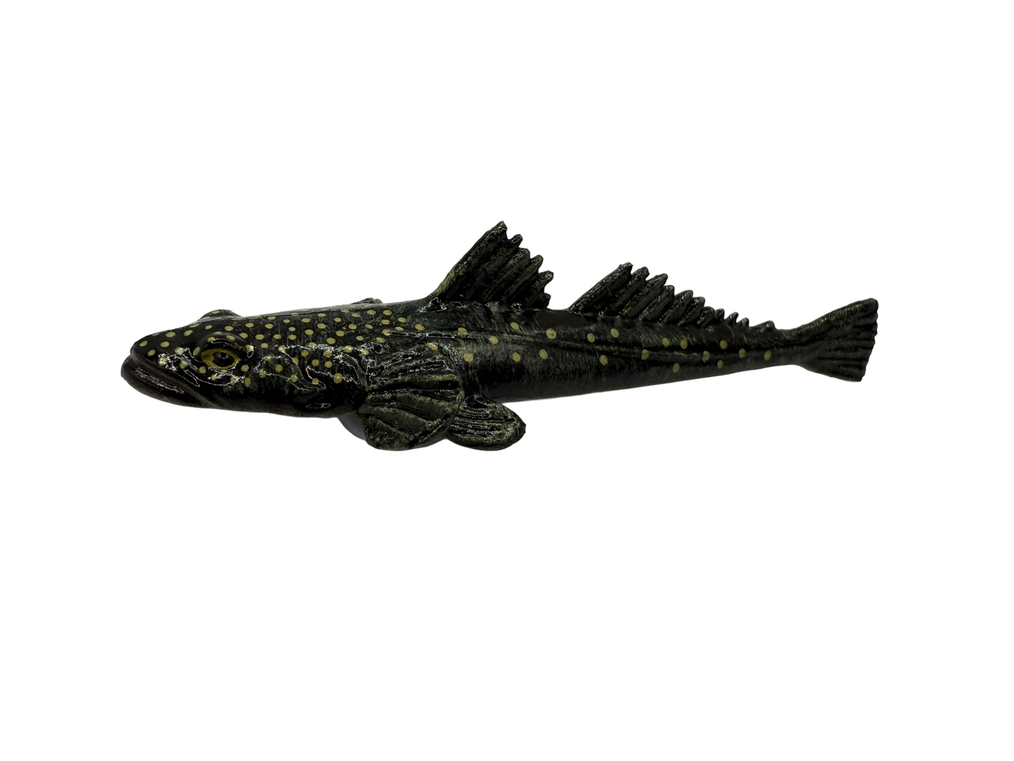 Mini fish  - Coastal Set