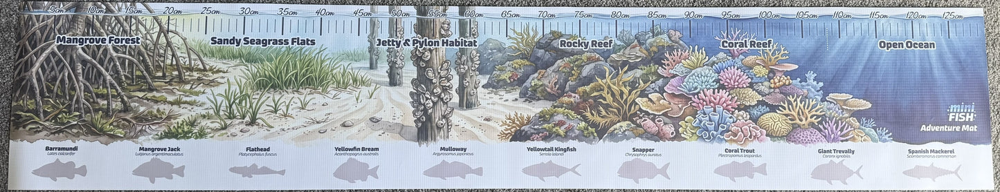 Mini Fish Adventure Mat