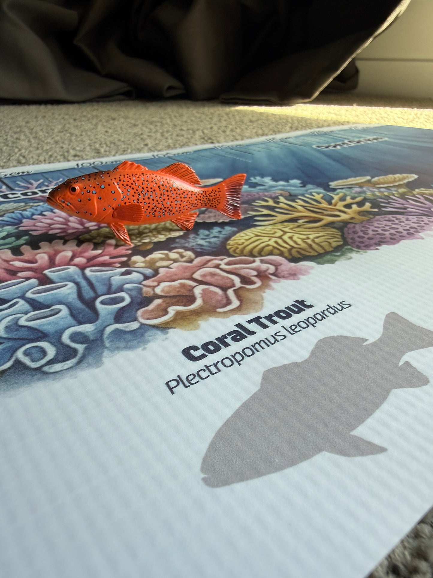 Mini Fish Adventure Mat