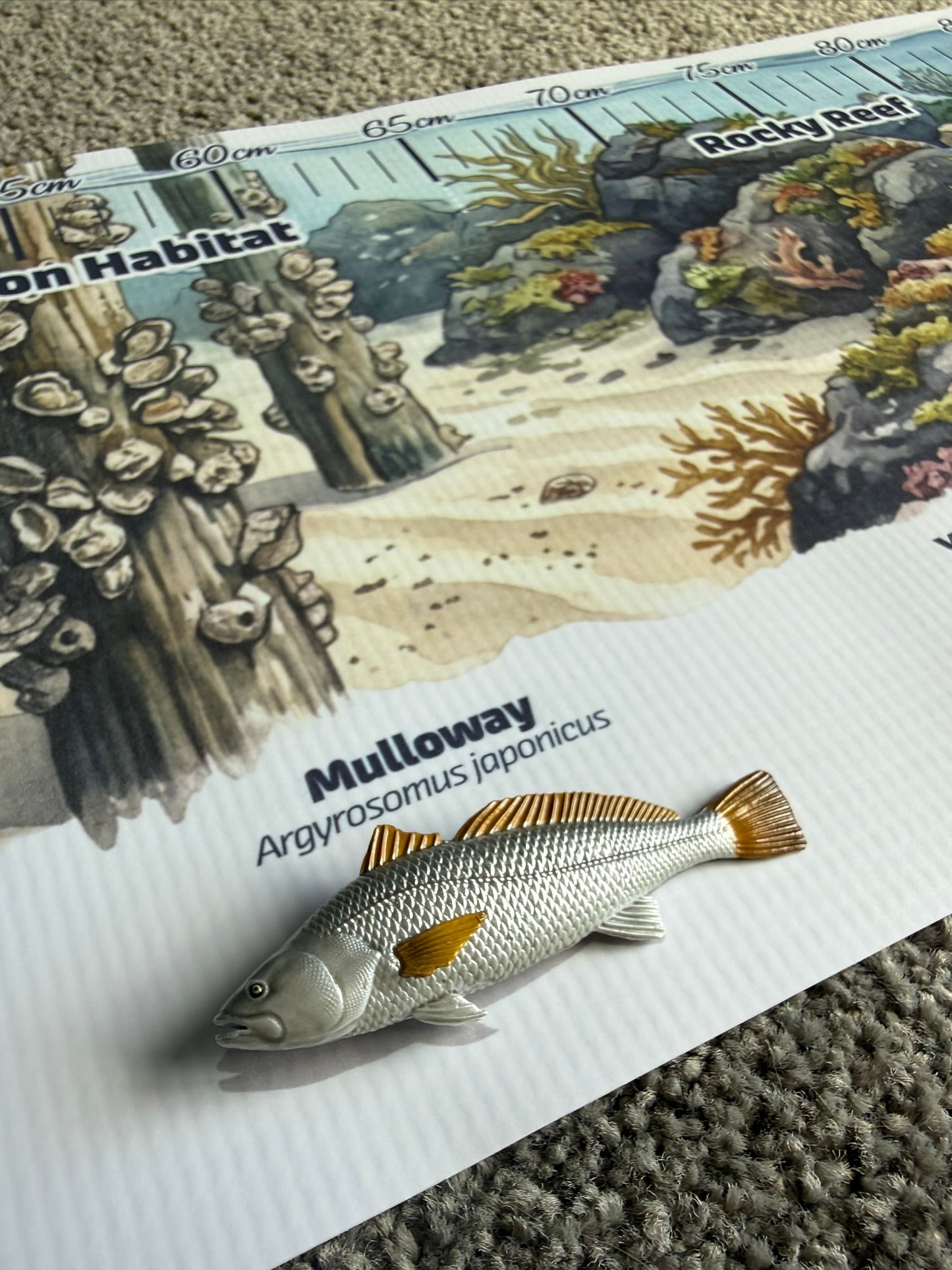 Mini Fish Adventure Mat