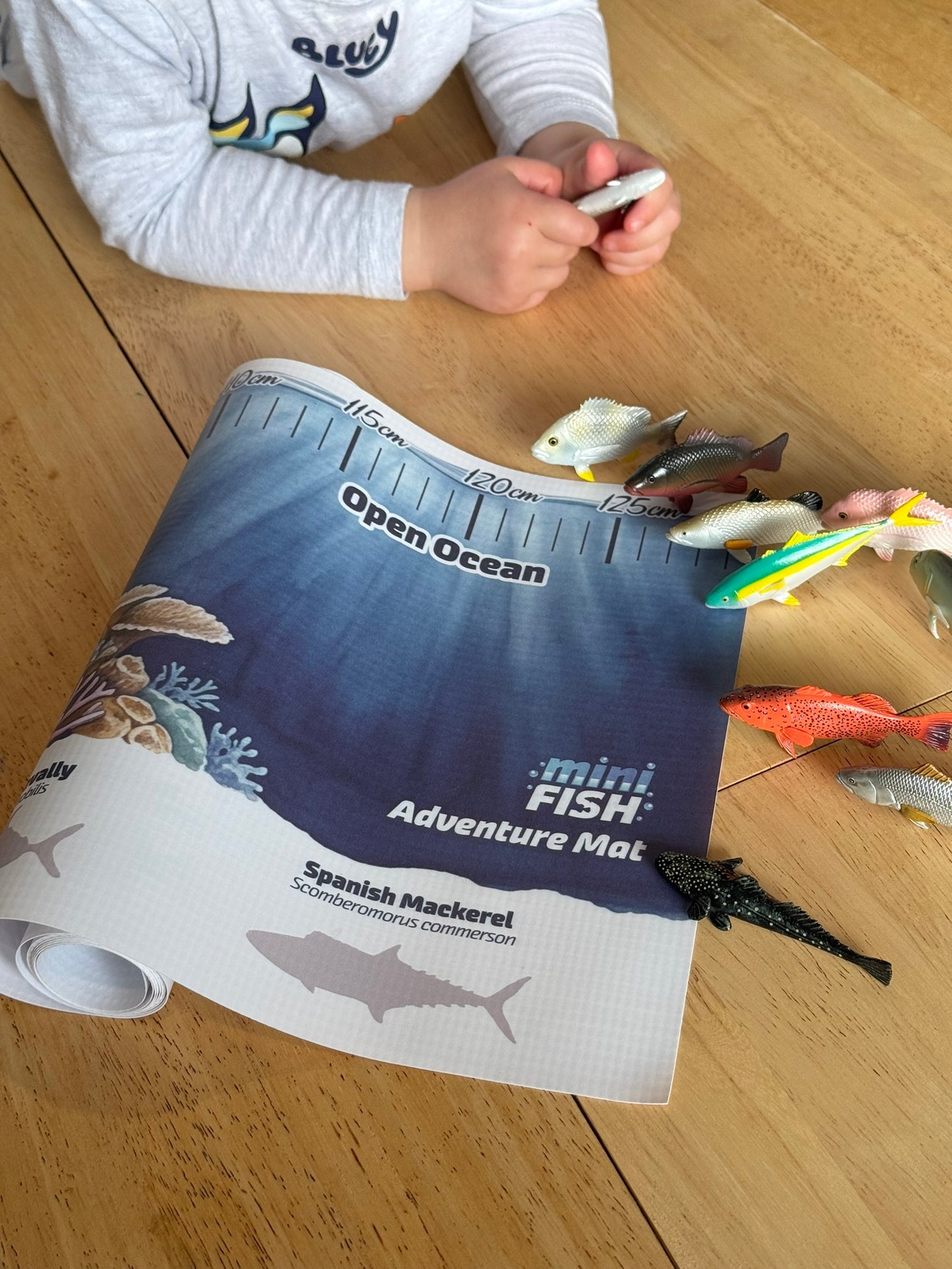 Mini Fish Adventure Mat