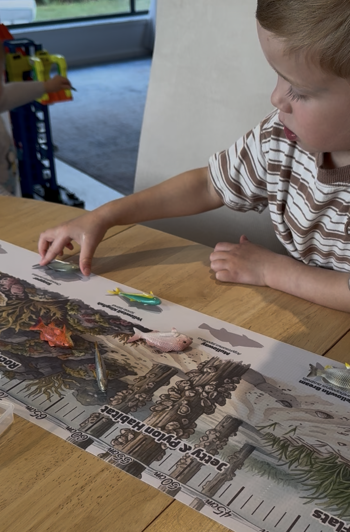 Mini Fish Adventure Mat