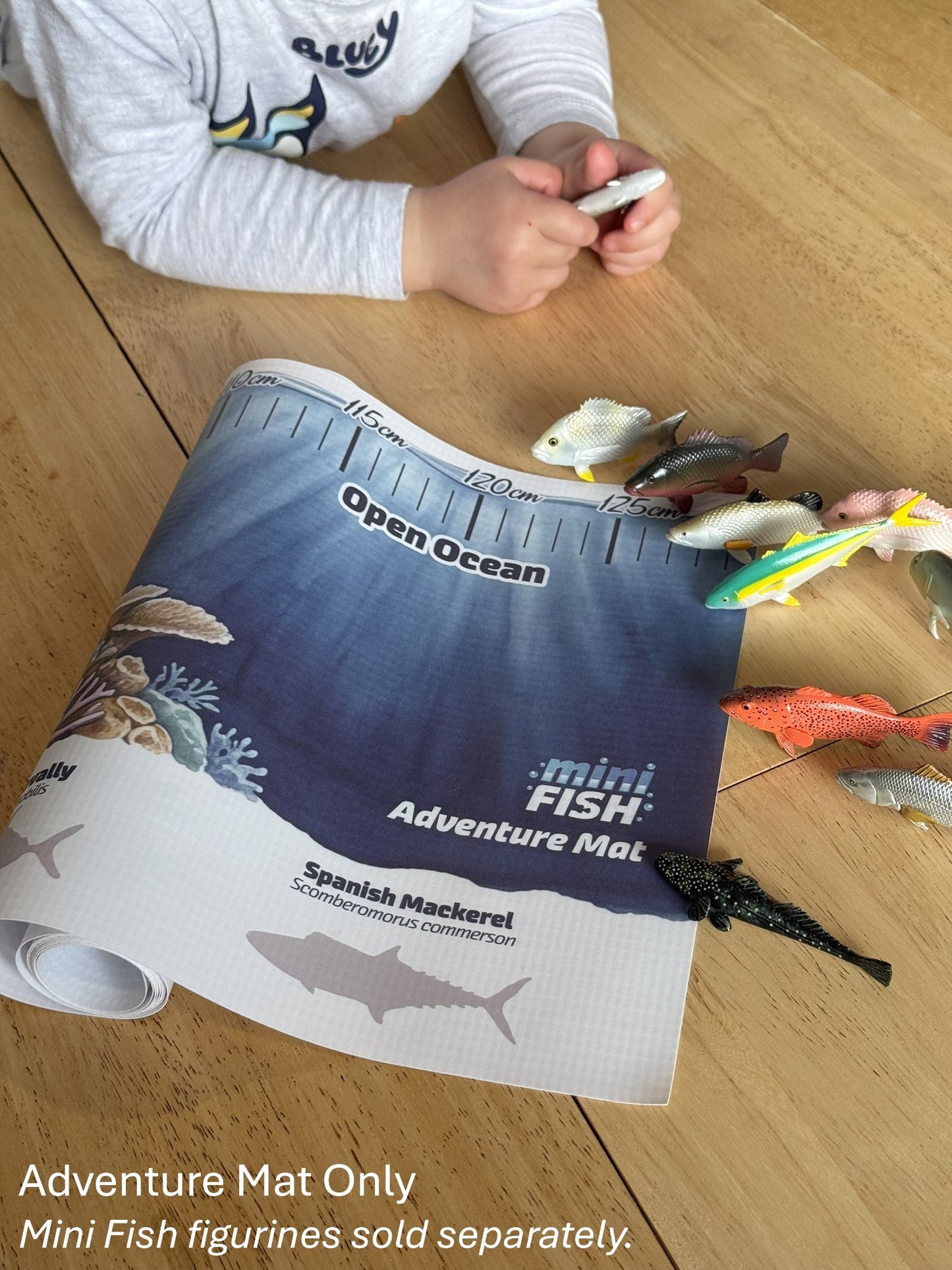 Mini Fish Adventure Mat