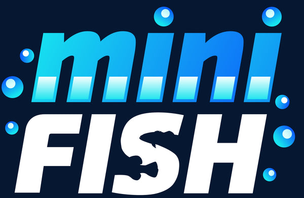 Mini Fish